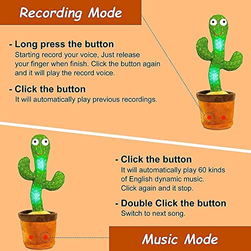 Dancing & Recording Cactus