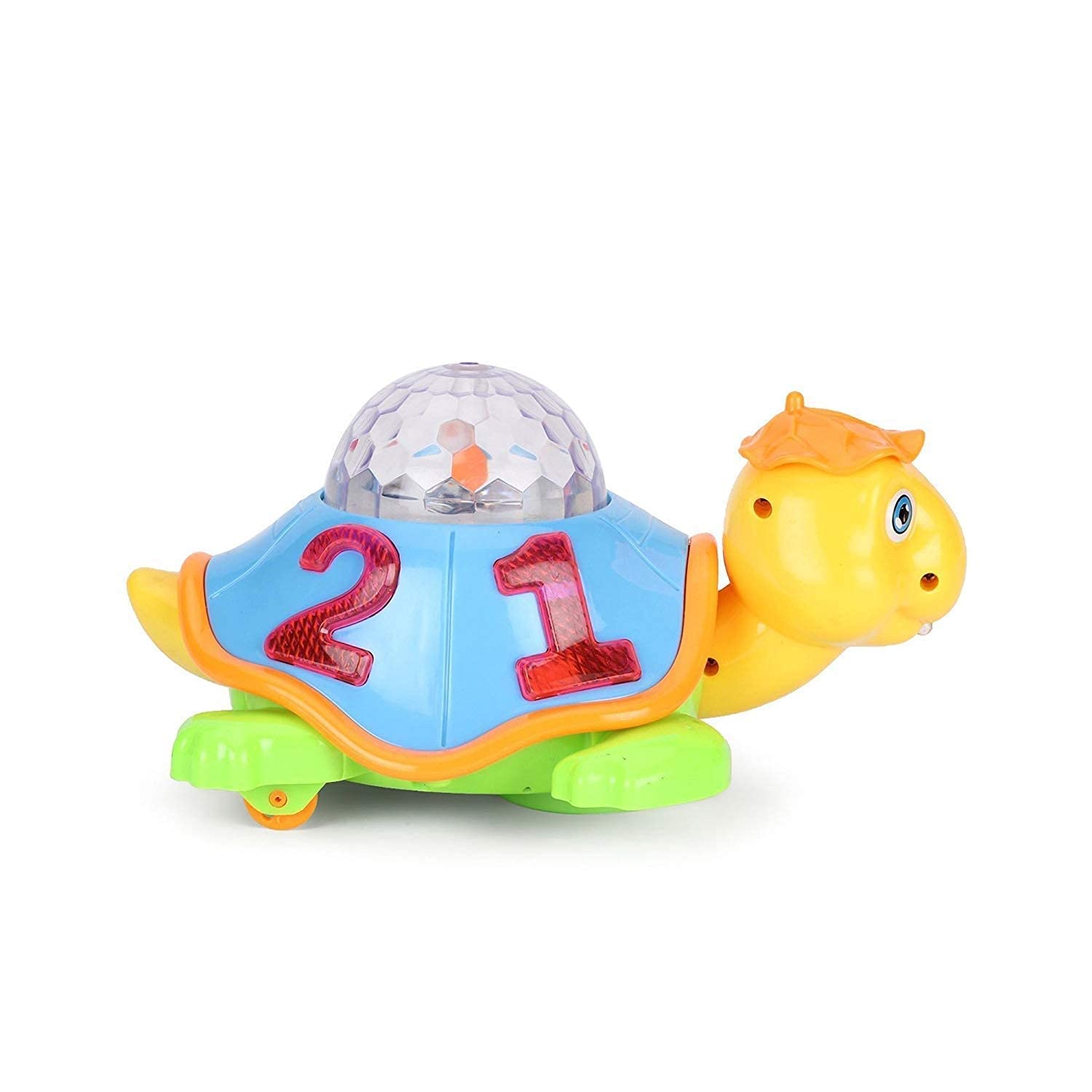 Musical Tortoise Toy