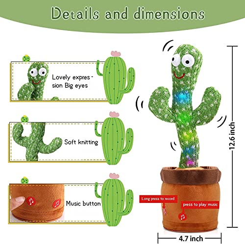 Dancing & Recording Cactus