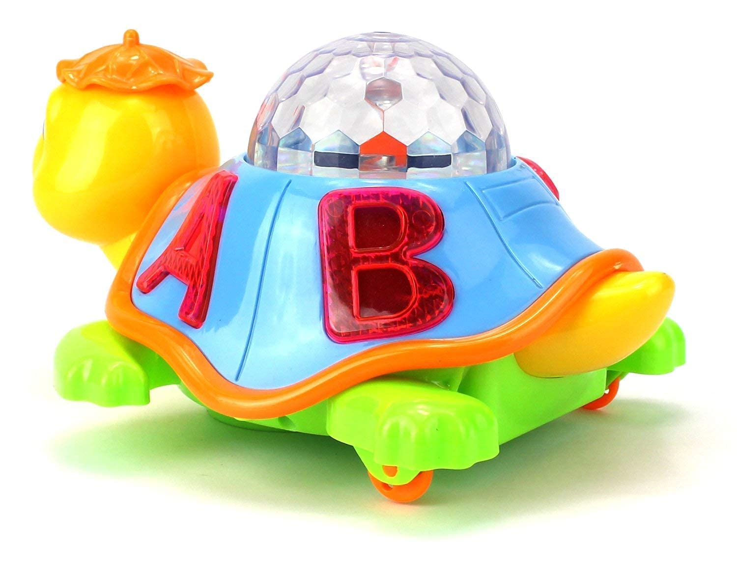 Musical Tortoise Toy