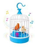 Recording Bird