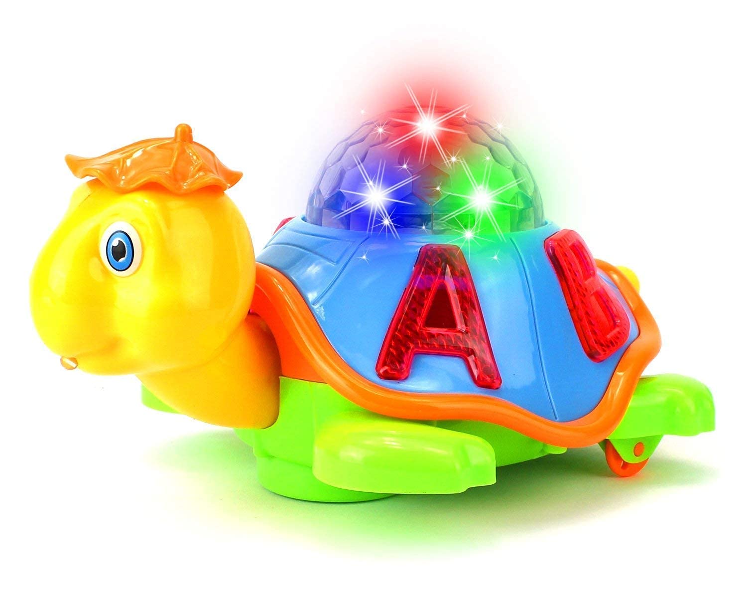 Musical Tortoise Toy